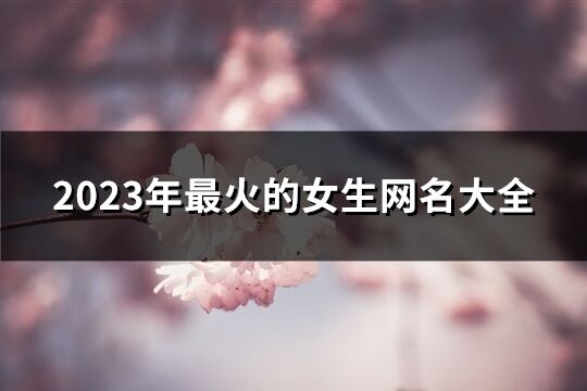 2023年最火的女生网名大全(精选807个)