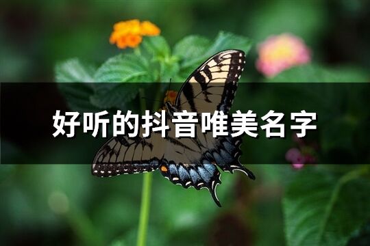 好听的抖音唯美名字(精选282个)