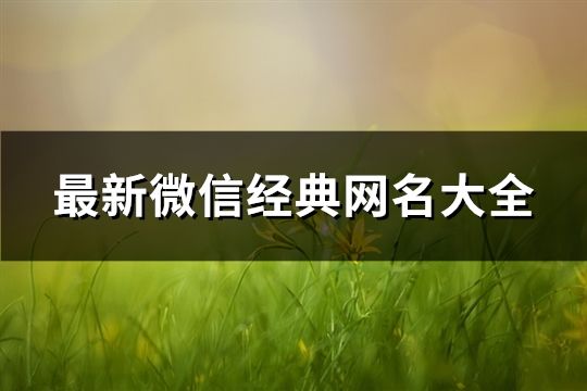 最新微信经典网名大全(共2325个)