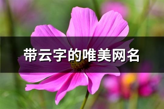 带云字的唯美网名(共124个)