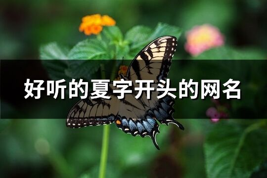 好听的夏字开头的网名(共103个)