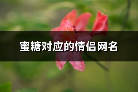 蜜糖对应的情侣网名(共150个)