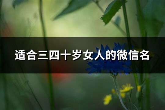 适合三四十岁女人的微信名(1285个)