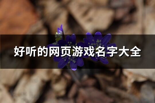 好听的网页游戏名字大全(共802个)