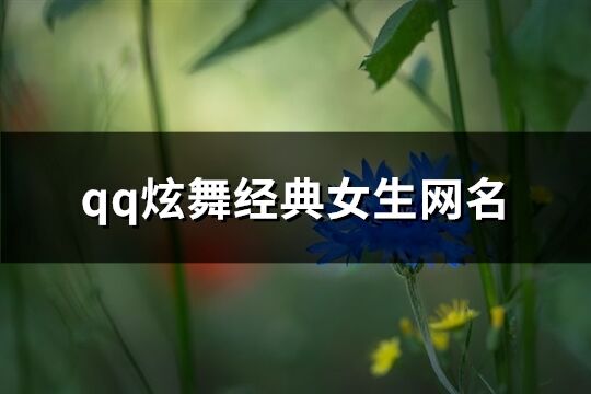 qq炫舞经典女生网名(共252个)