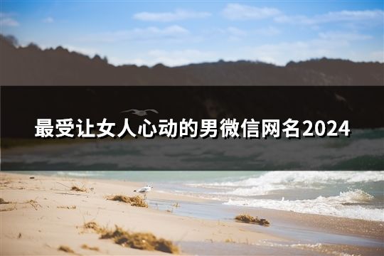 最受让女人心动的男微信网名2024(102个)