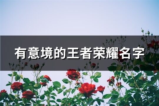 有意境的王者荣耀名字(402个)