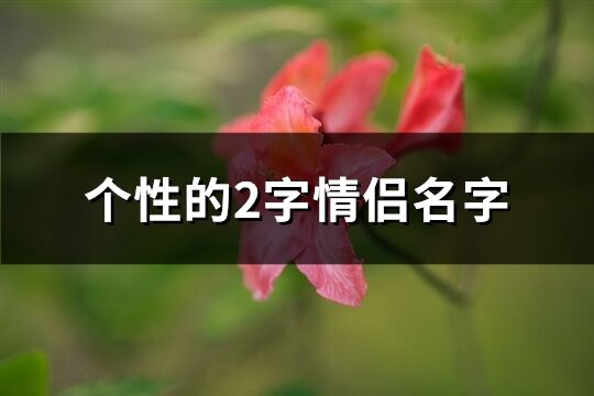 个性的2字情侣名字(345个)