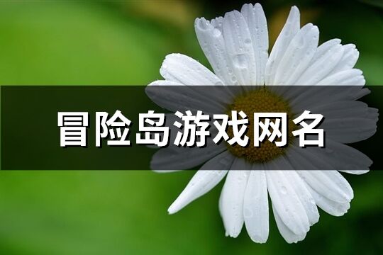 冒险岛游戏网名(399个)