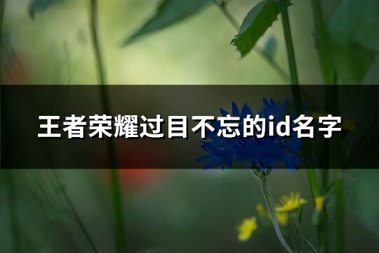 王者荣耀过目不忘的id名字(203个)