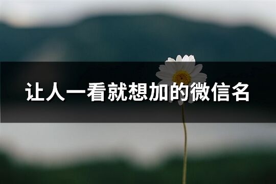 让人一看就想加的微信名(共551个)