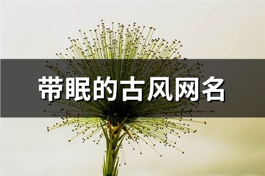 带眠的古风网名(共75个)