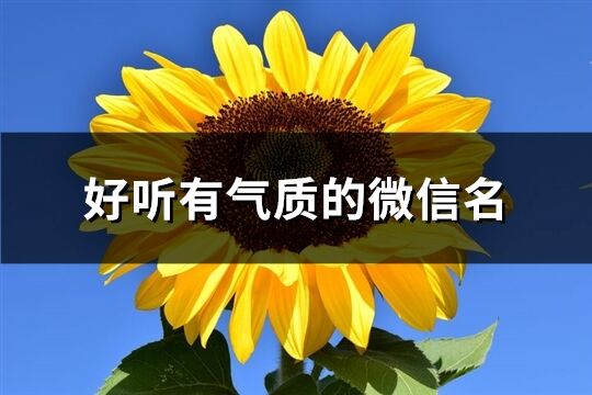 好听有气质的微信名(精选1046个)