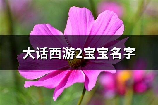 大话西游2宝宝名字(共288个)