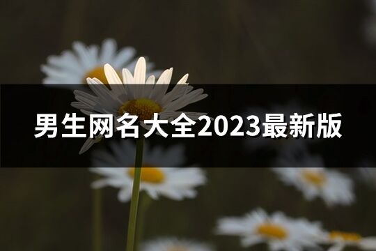 男生网名大全2023最新版(精选795个)