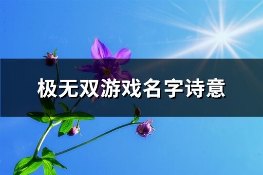 极无双游戏名字诗意(共676个)