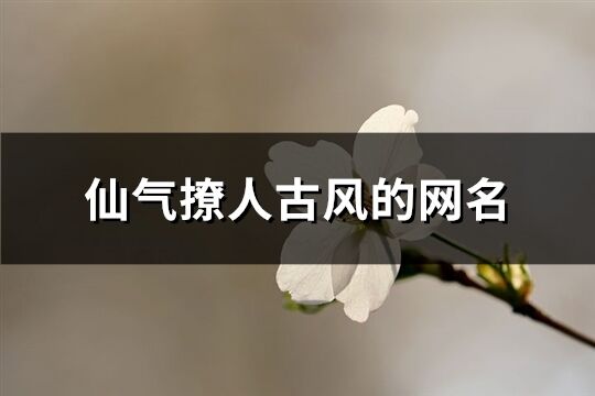 仙气撩人古风的网名(436个)