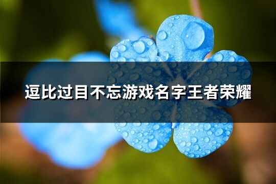 逗比过目不忘游戏名字王者荣耀(共110个)