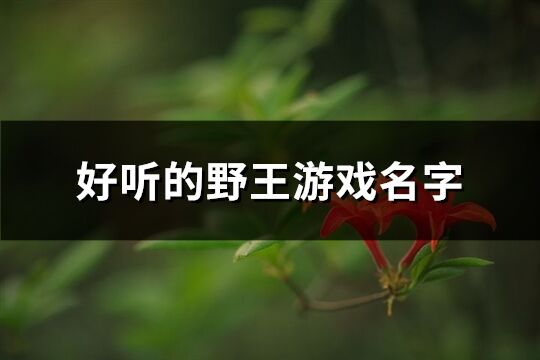 好听的野王游戏名字(共157个)