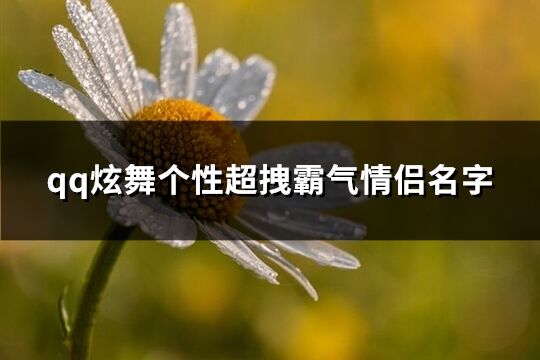 qq炫舞个性超拽霸气情侣名字(共167个)