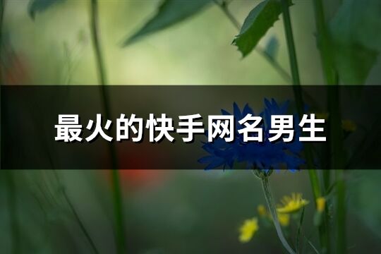 最火的快手网名男生(共457个)