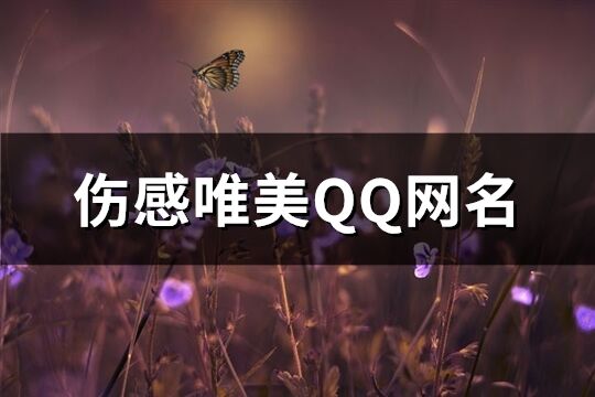 伤感唯美QQ网名(共204个)