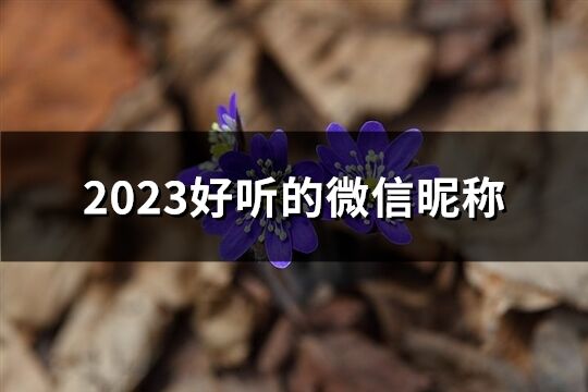 2023好听的微信昵称(260个)