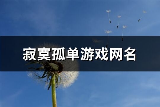 寂寞孤单游戏网名(267个)