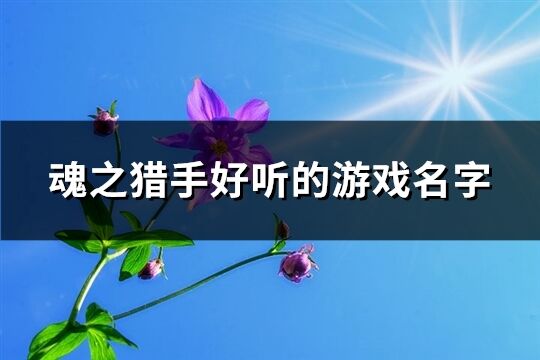 魂之猎手好听的游戏名字(共471个)