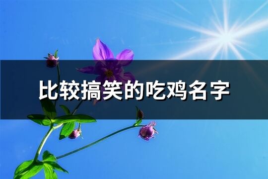 比较搞笑的吃鸡名字(共358个)