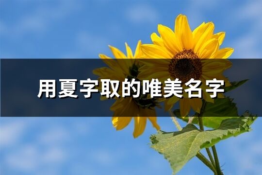 用夏字取的唯美名字(共93个)