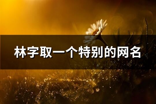 林字取一个特别的网名(共229个)