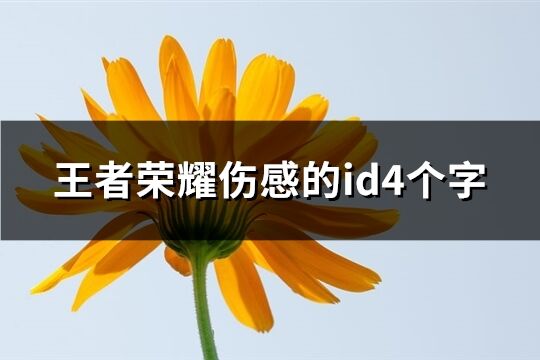 王者荣耀伤感的id4个字(552个)