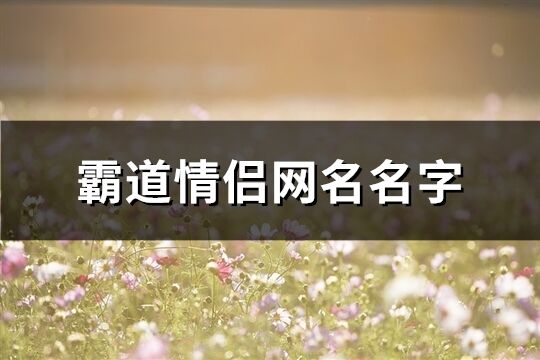 霸道情侣网名名字(精选870个)