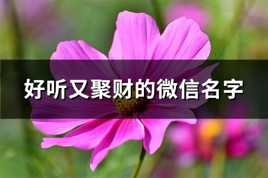 好听又聚财的微信名字(540个)