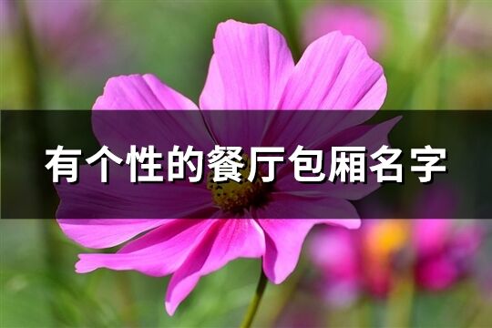 有个性的餐厅包厢名字