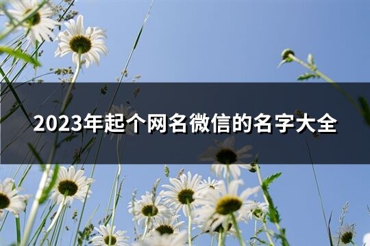 2023年起个网名微信的名字大全(共2415个)