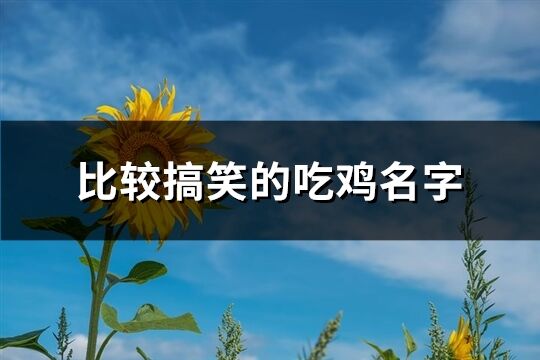 比较搞笑的吃鸡名字(321个)