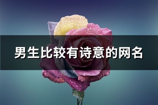 男生比较有诗意的网名(精选670个)