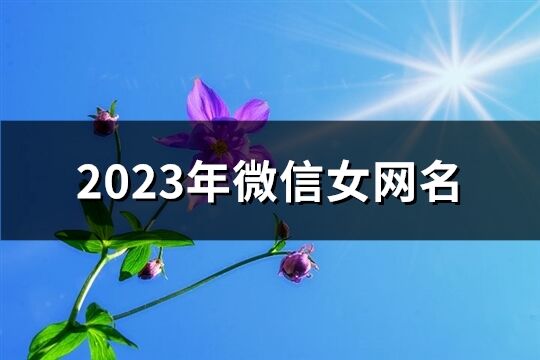 2023年微信女网名(优选1997个)