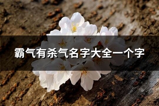 霸气有杀气名字大全一个字(共105个)