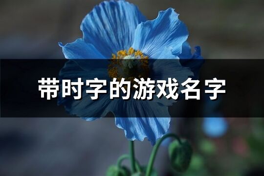 带时字的游戏名字(共77个)