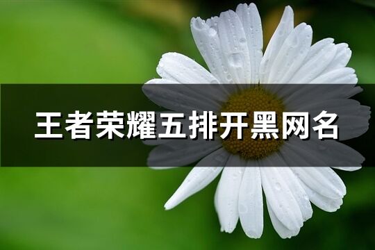 王者荣耀五排开黑网名(精选198个)