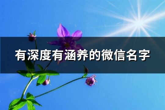 有深度有涵养的微信名字(优选1242个)