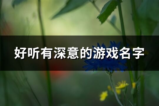 好听有深意的游戏名字(共671个)