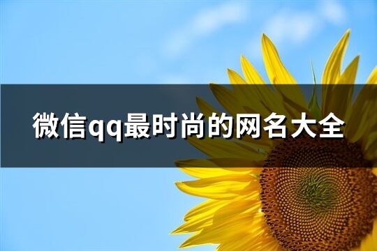 微信qq最时尚的网名大全(373个)