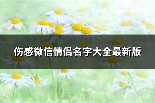 伤感微信情侣名字大全最新版(共276个)