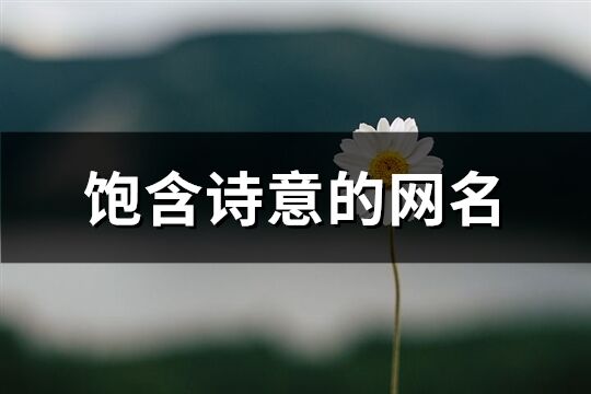 饱含诗意的网名(精选390个)