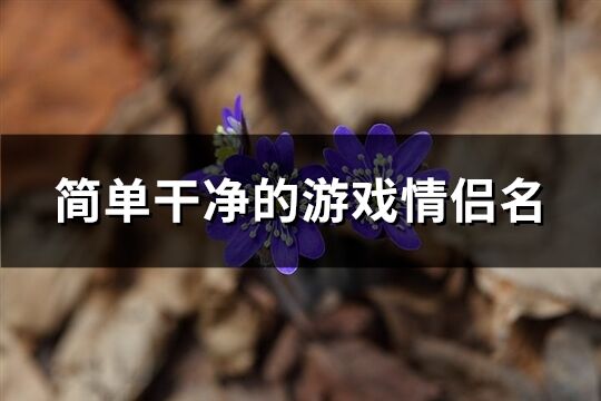 简单干净的游戏情侣名(共84个)