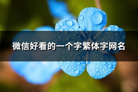 微信好看的一个字繁体字网名(精选129个)